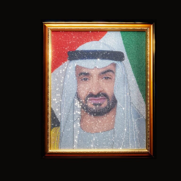  His Highness Mohamed bin Zayed Al Nahyan